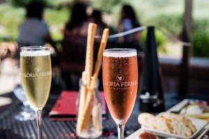 ST尔雅:关于股票交易异常波动的公告