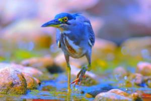 安心财险成立十年之痛：5人遭禁业，多项业务被叫停