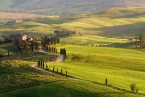 广和通:关于取消监事会及选举职工代表董事的公告