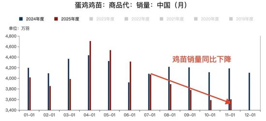 鸡蛋2608合约暴涨后的思考！
