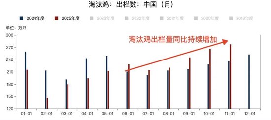 鸡蛋2608合约暴涨后的思考！